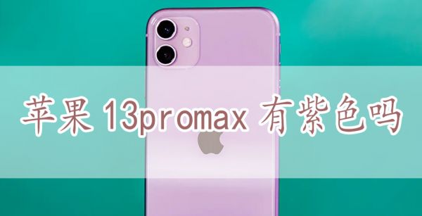 苹果13promax有紫色吗