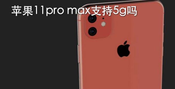 苹果11pro max支持5g吗